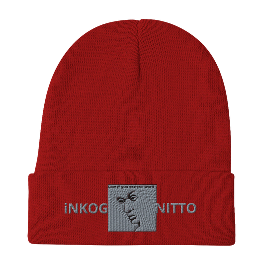 Embroidered iVV Beanie