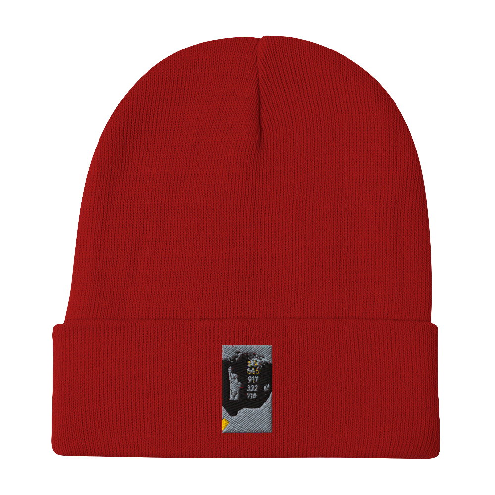 NYC VV Embroidered Beanie